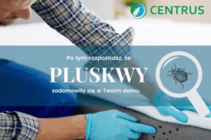 Po tym rozpoznasz, że pluskwy zadomowiły się w Twoim domu - Centrus