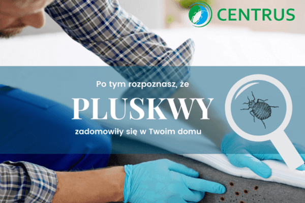 Po tym rozpoznasz, że pluskwy zadomowiły się w Twoim domu - Centrus