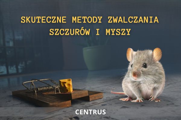 deratyzacja - szczury i myszy