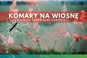KOMARY NA WIOSNĄĘ jak się przed nimi chronić
