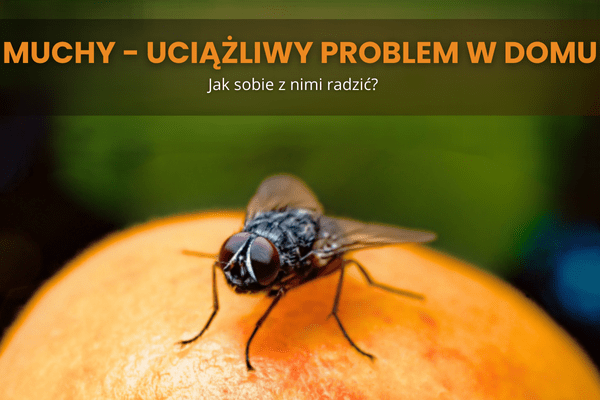 muchy