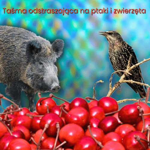 Taśma refleksyjna na ptaki i zwierzęta