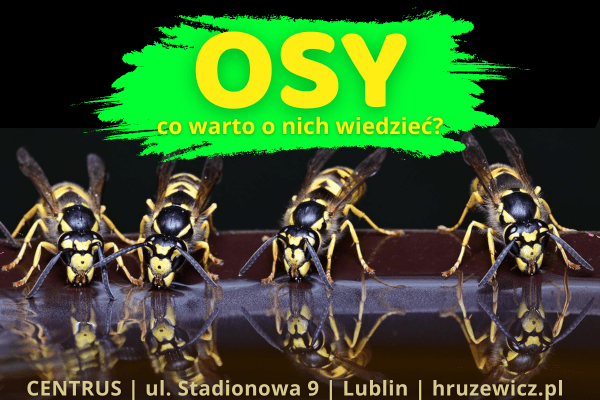 osy
